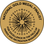 Gold medal finalist logo