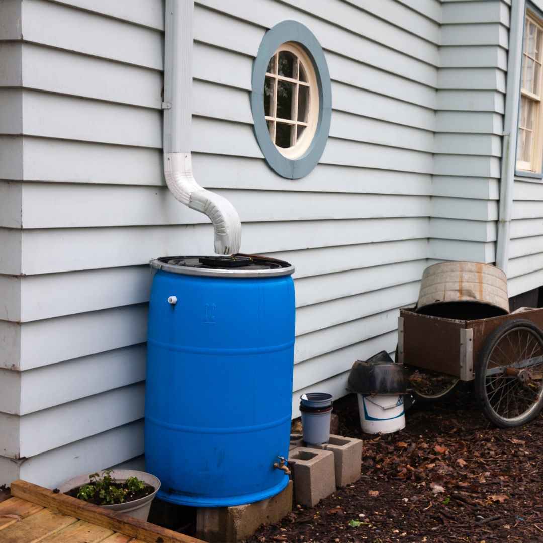 rain barrel