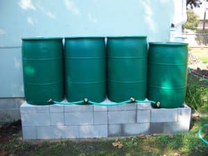 rain barrels