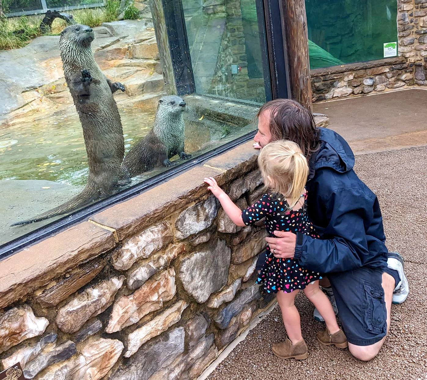 Father and daughter with otters